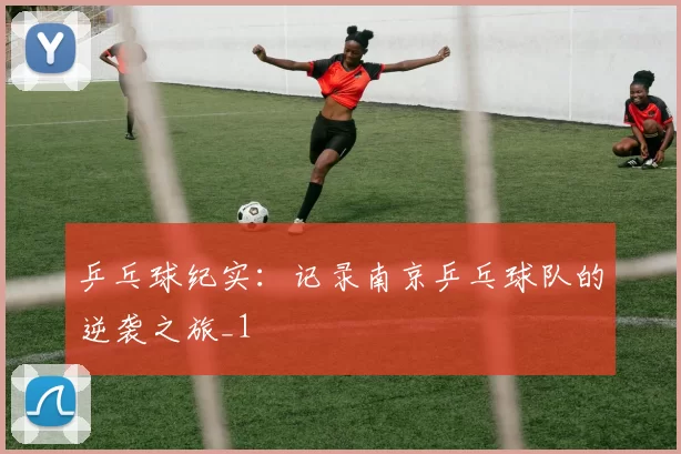 乒乓球纪实：记录南京乒乓球队的逆袭之旅_1