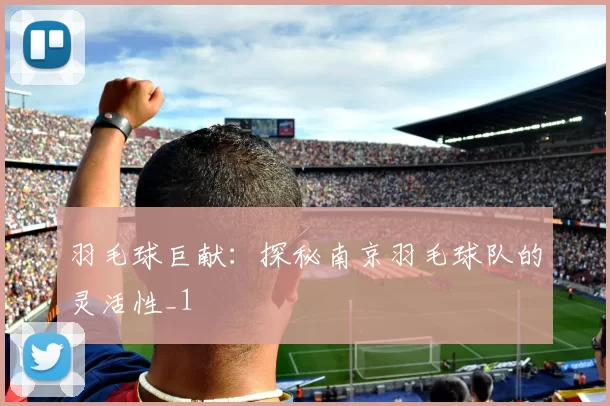 羽毛球巨献：探秘南京羽毛球队的灵活性_1