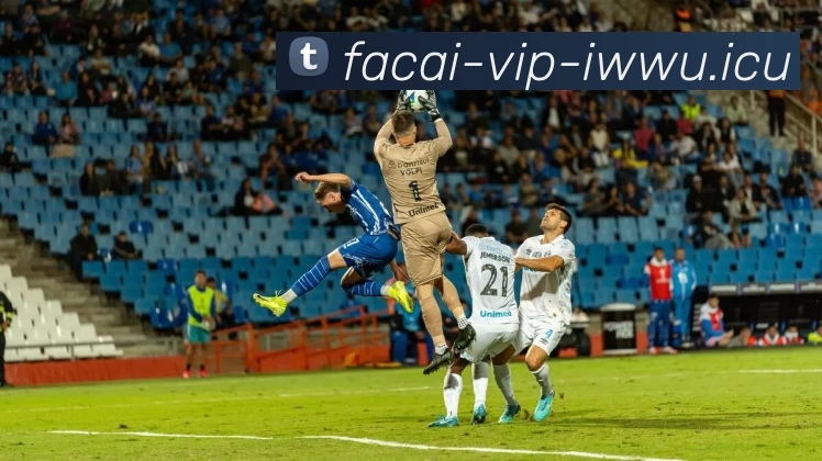 开云体育品牌故事