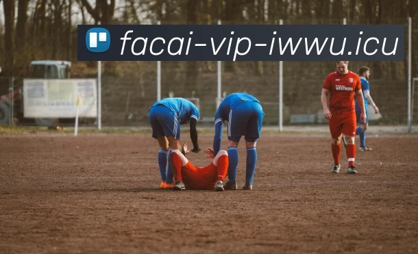 开云体育APP 体育赛事宣传图